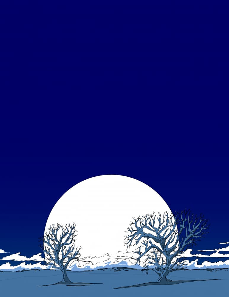 Moonlit Bare Trees by Nicholas — canvas wall art