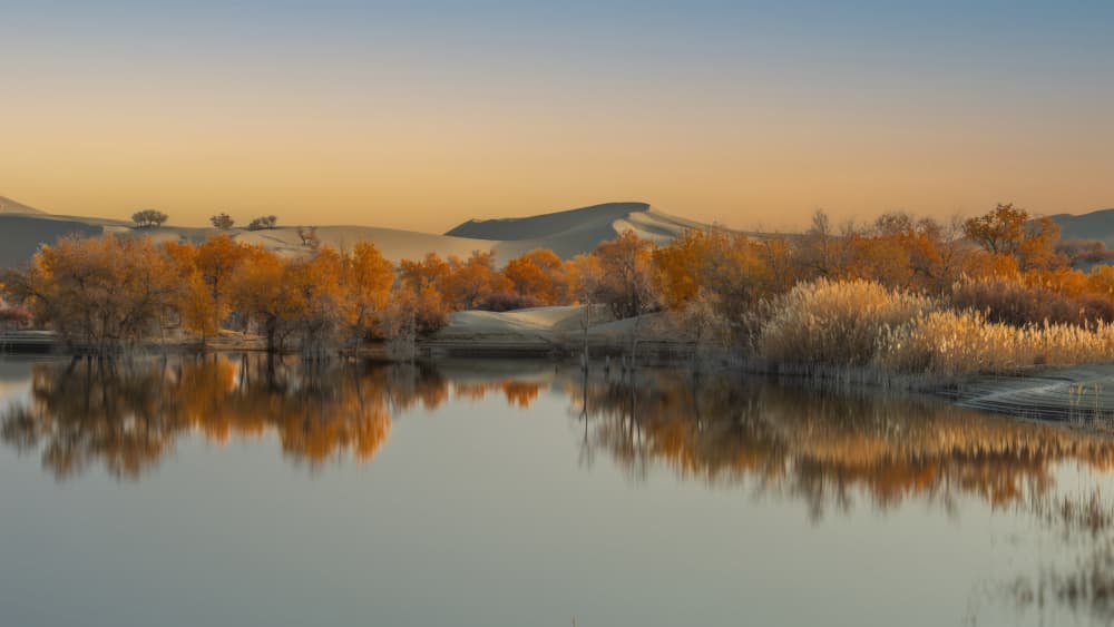 Autumn Desert Lake by tianhuayu — canvas wall art