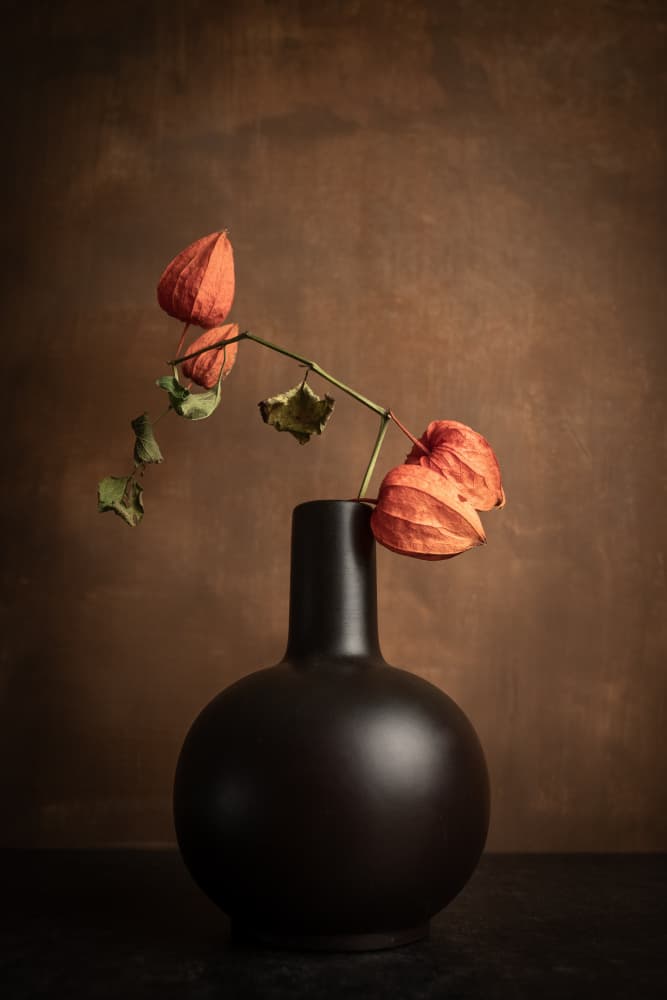 Rustic Lantern Still Life by Ruth Franke — canvas wall art