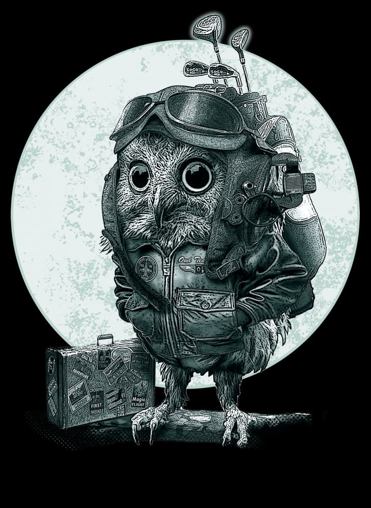 Pilot Owl Golfer by Adam Lawless — canvas wall art