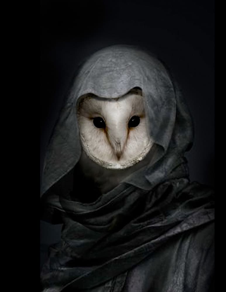 Mysterious Hooded Owl by Jeffrey Hummel — canvas wall art