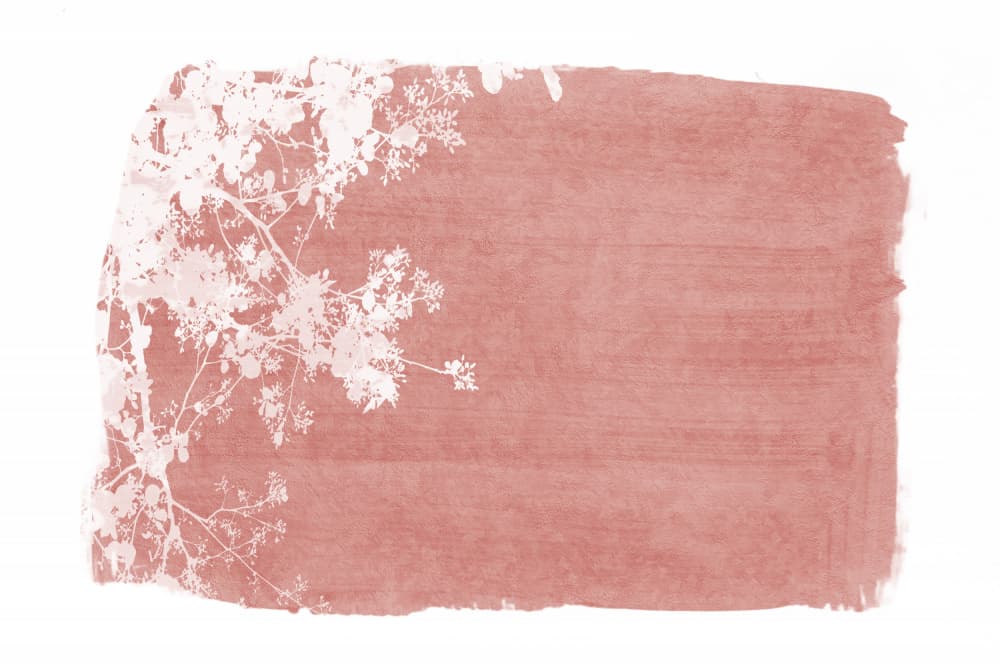 Blush Botanical Branches by amini54 — canvas wall art