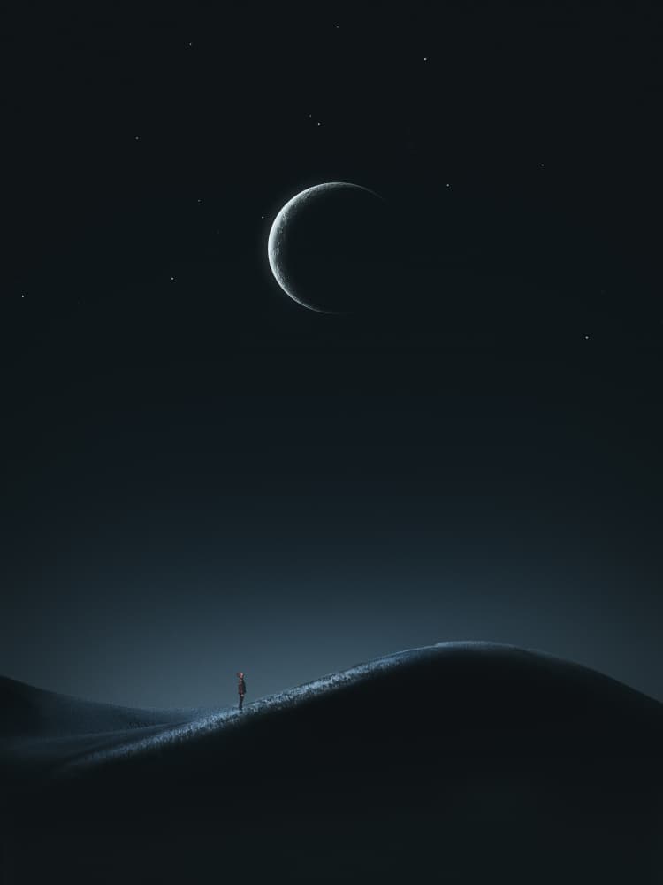Moonlit Desert Night by cvv — canvas wall art