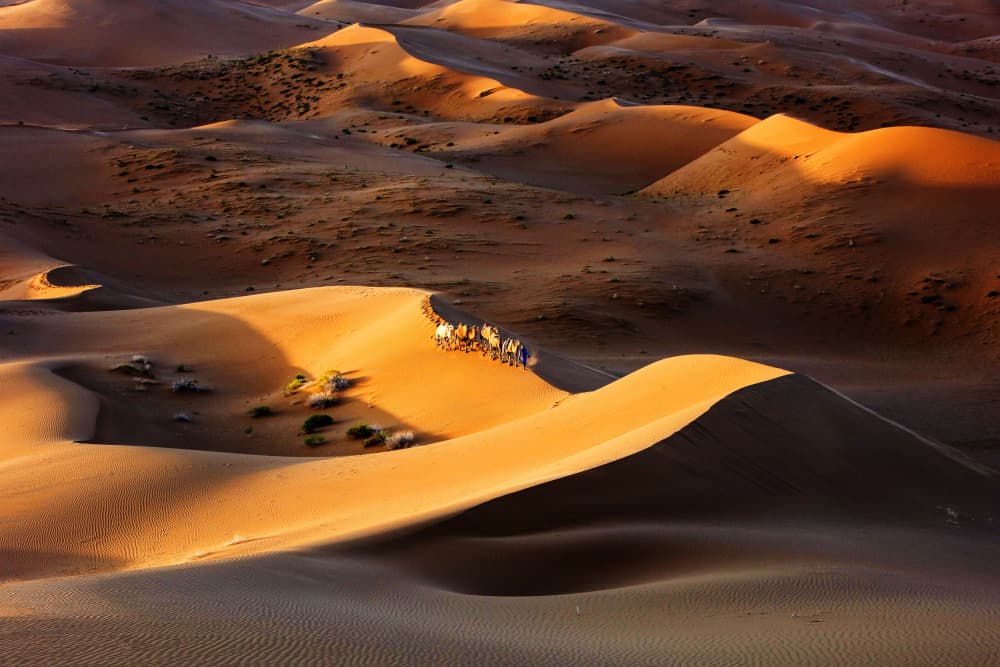 Golden Desert Caravan by Shin Woo Ryu — canvas wall art