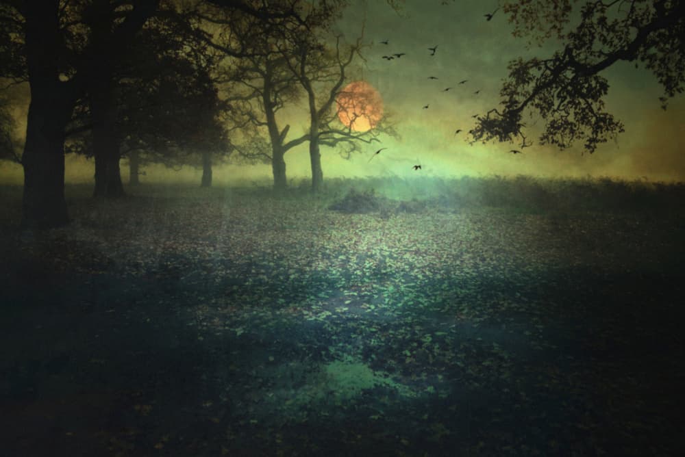 Misty Moonlit Forest by Robert Fabrowski — canvas wall art