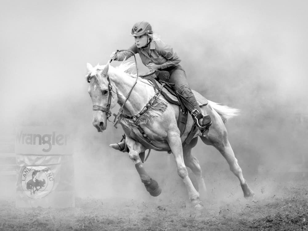 Barrel Racing Horse Action by Frank Ma — canvas wall art