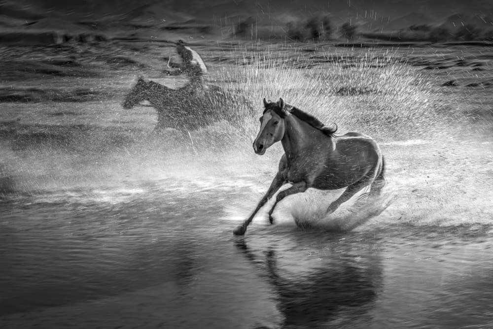 Galloping Horses Water Spray by Anna Zhang — canvas wall art