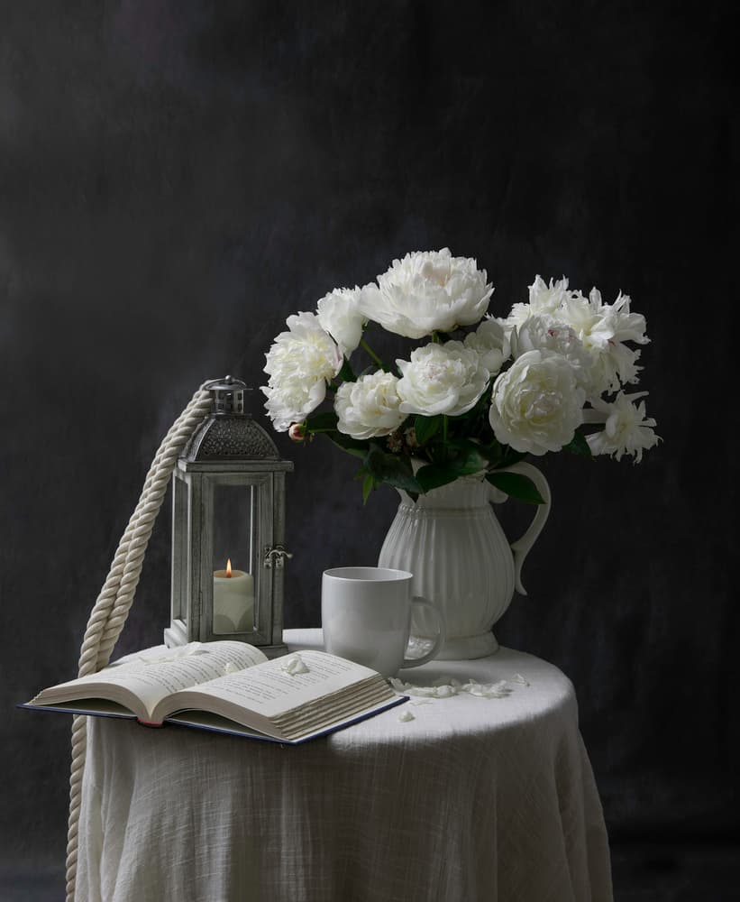 Peonies Candlelight Reading by Binbin L. — canvas wall art