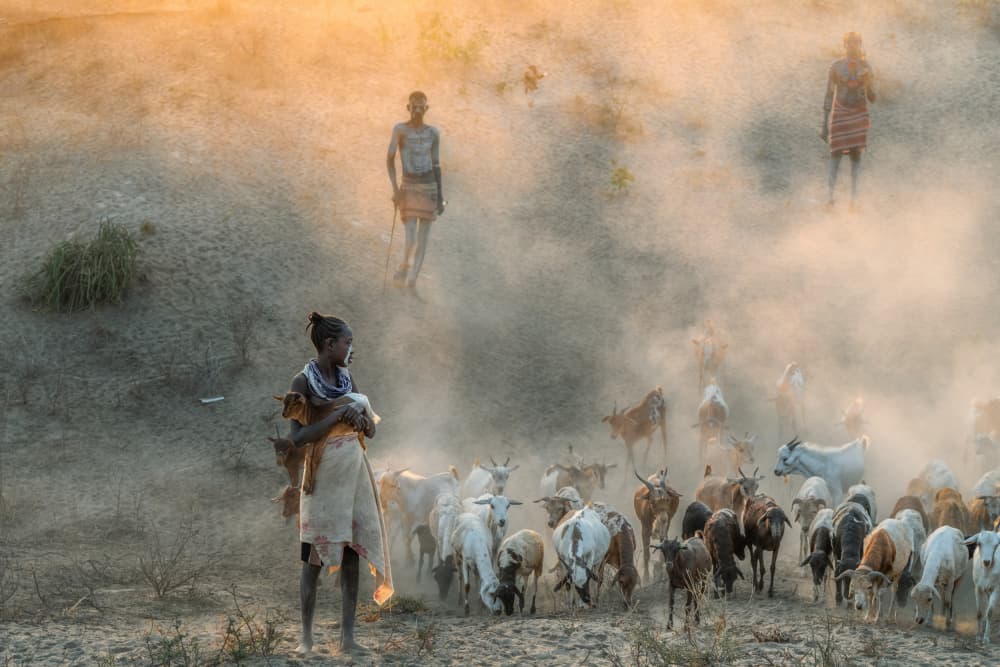 Dusty Tribal Herding by Trevor Cole — canvas wall art