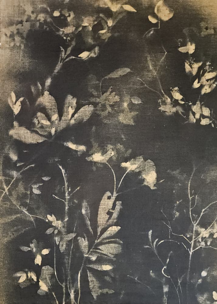 Dark Botanical Study by Stefano Mazzolini — canvas wall art