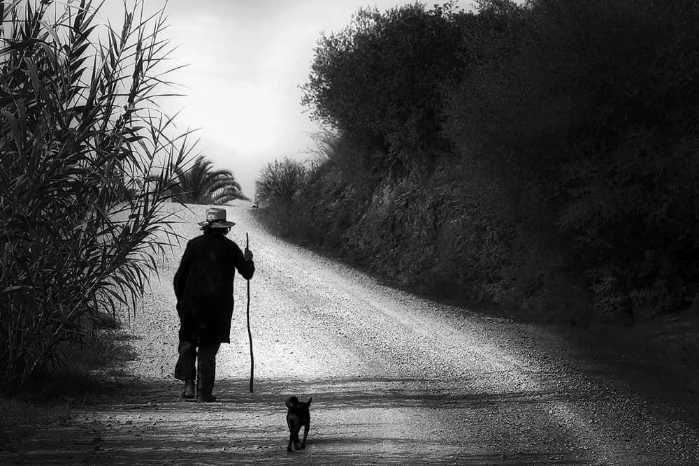Man Dog Country Road by Jan Donckers — canvas wall art