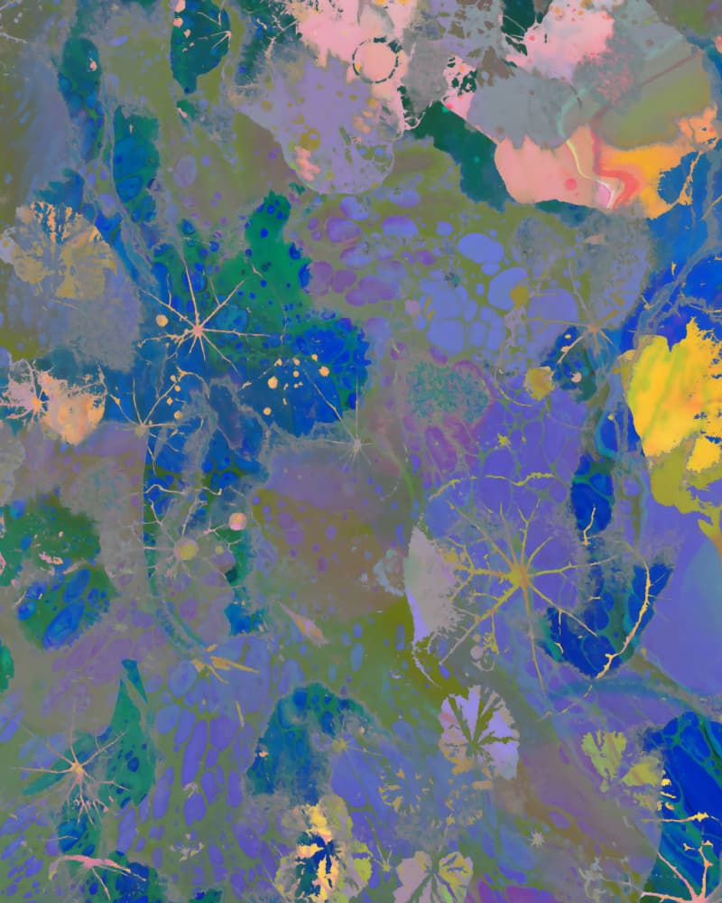 Colorful Water Lilies by Uma Gokhale — canvas wall art