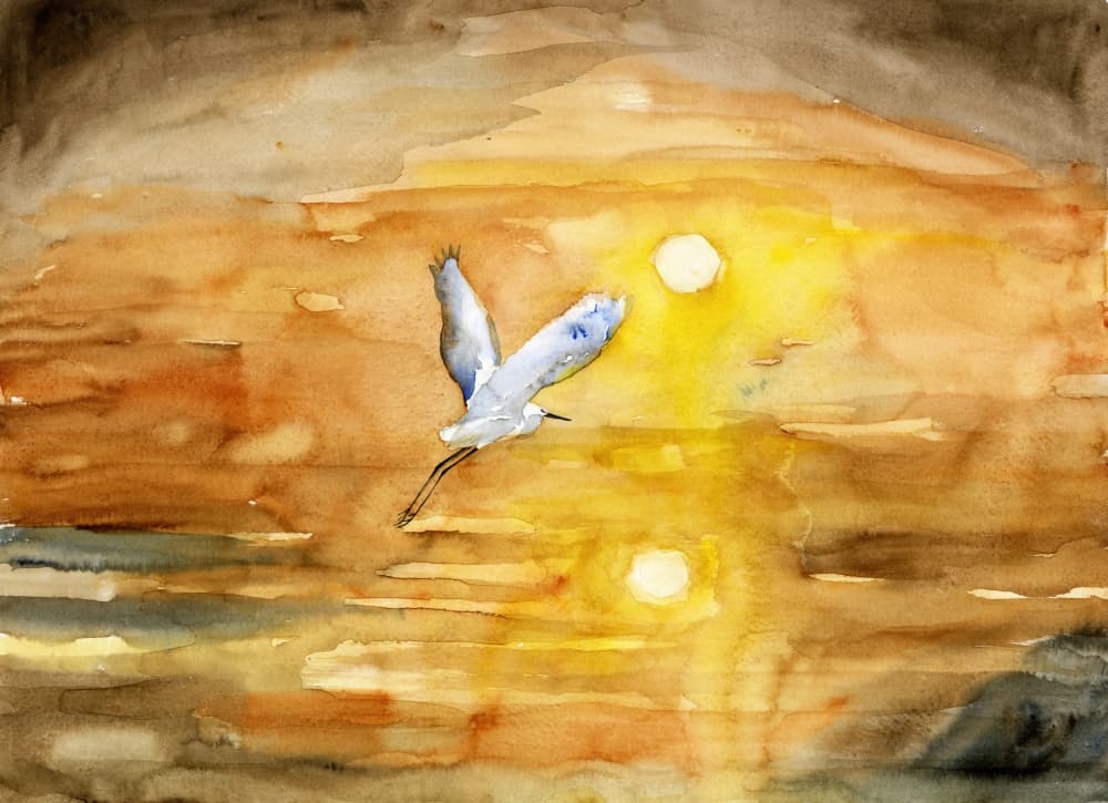 Egret's Golden Sunset Flight by RodMacIver — canvas wall art