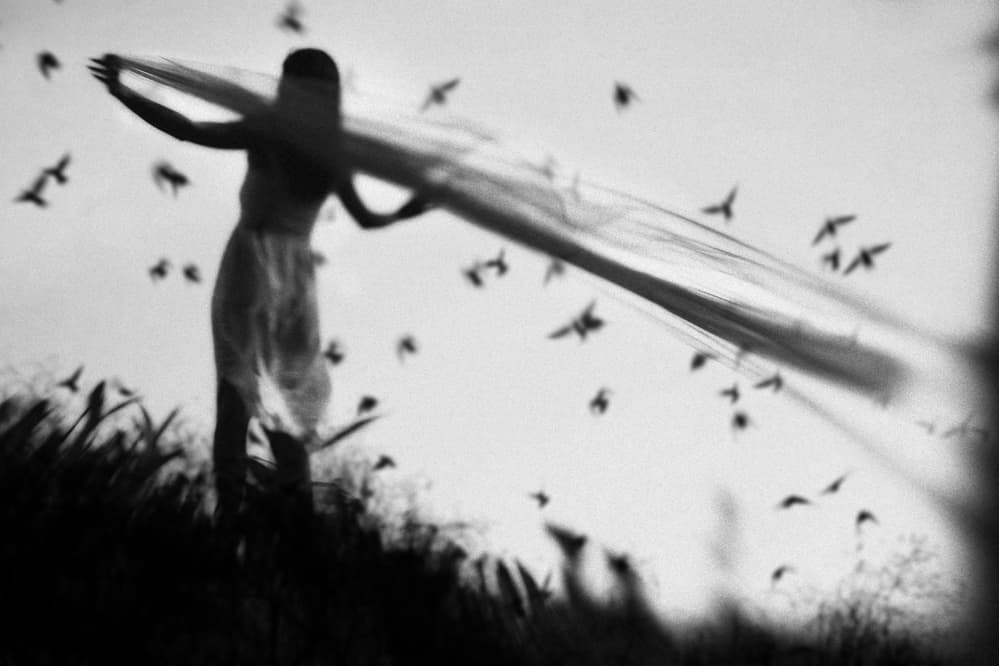 Flight of Freedom by Hari Sulistiawan — canvas wall art
