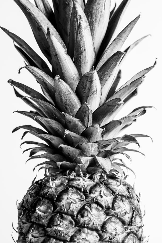 Black And White Pineapple by Pictufy Studio III — canvas wall art