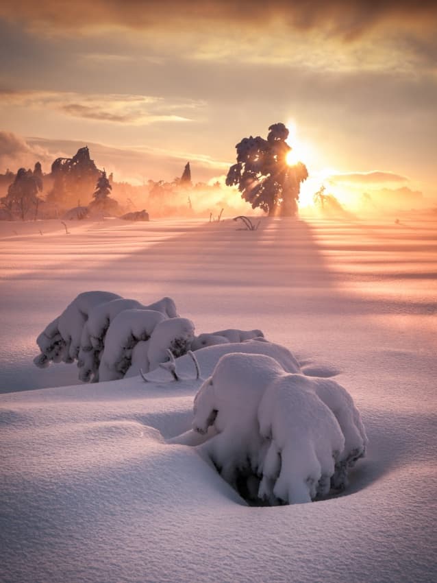 Golden Winter Rays by Andreas Wonisch — canvas wall art