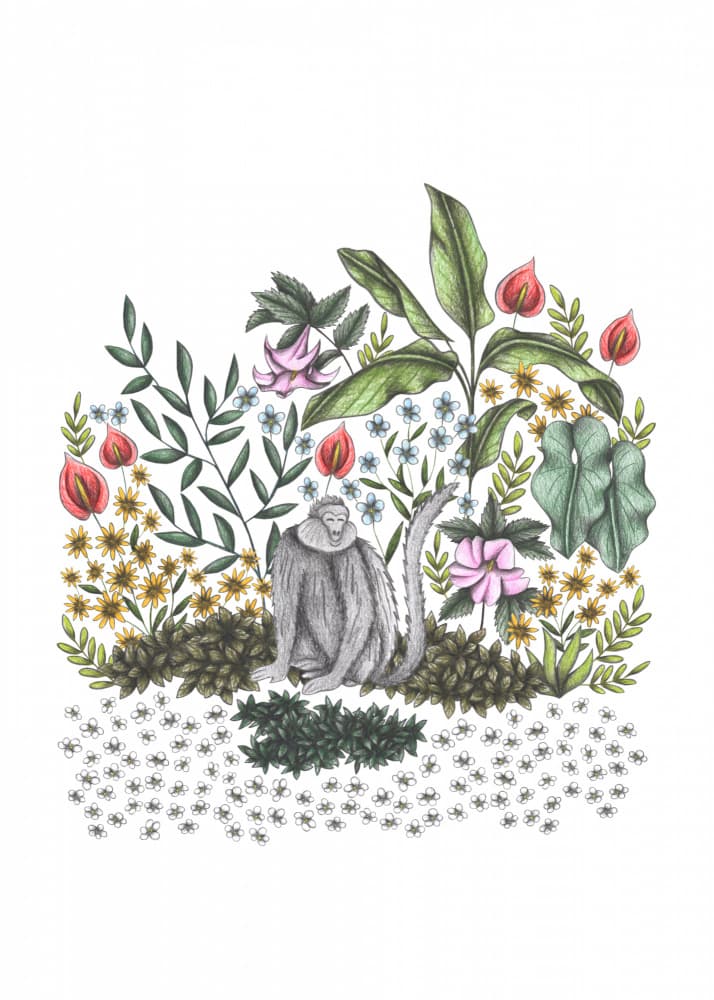 Jungle Monkey Blooms by Cecilia Battaini — canvas wall art