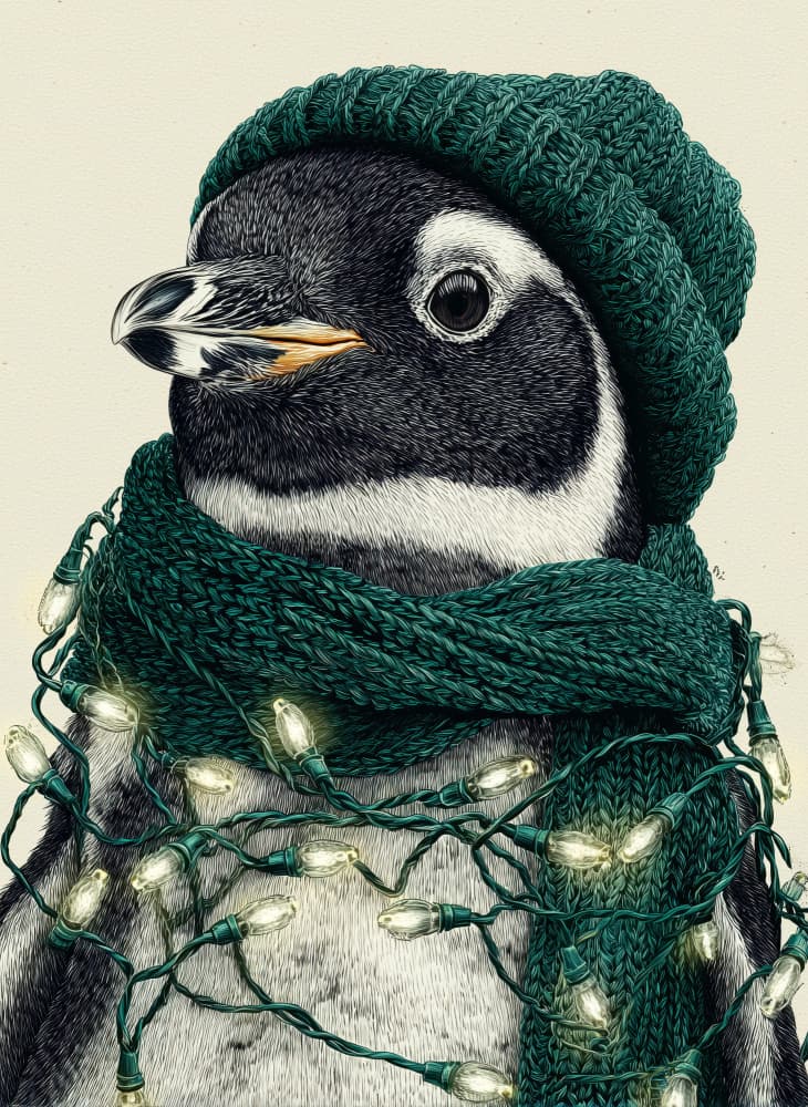 Festive Penguin Portrait by Justyna Jaszke — canvas wall art