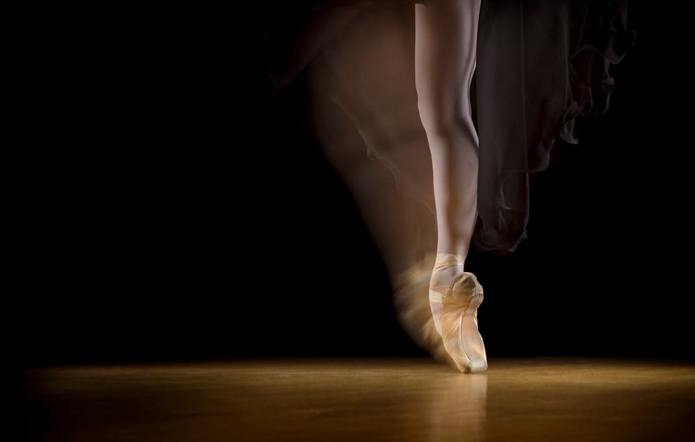 Graceful Ballet Movement by Howard Ashton-Jones — canvas wall art