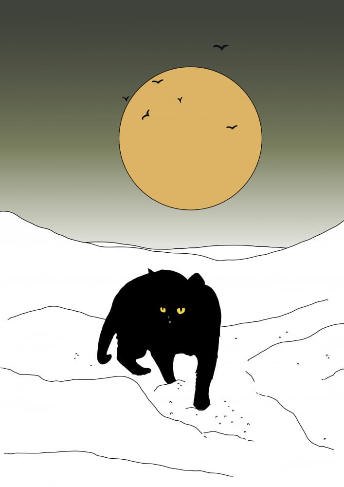 Black Cat Winter Moon by Nicholas — canvas wall art