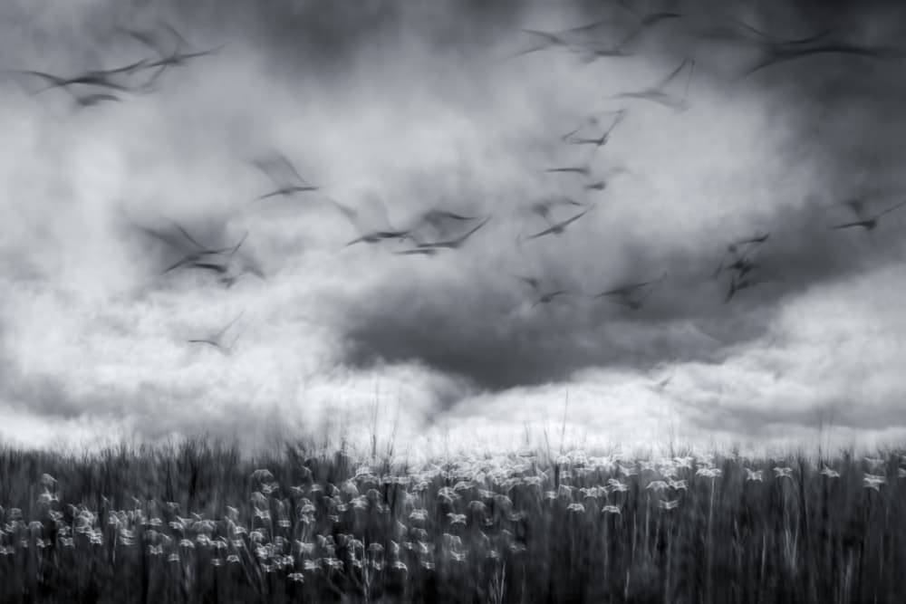 Flight Through Stormy Skies by John Fan — canvas wall art