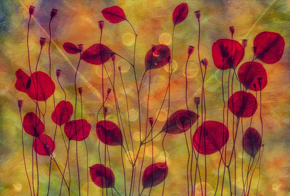 Vibrant Botanical Glow by Hilda van der Lee — canvas wall art