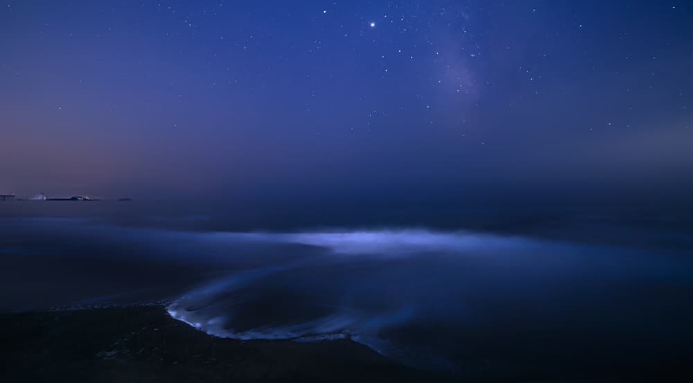 Starry Bioluminescent Ocean by Johnson Huang — canvas wall art