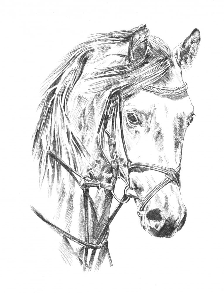 Elegant Horse Portrait by Kulik — canvas wall art