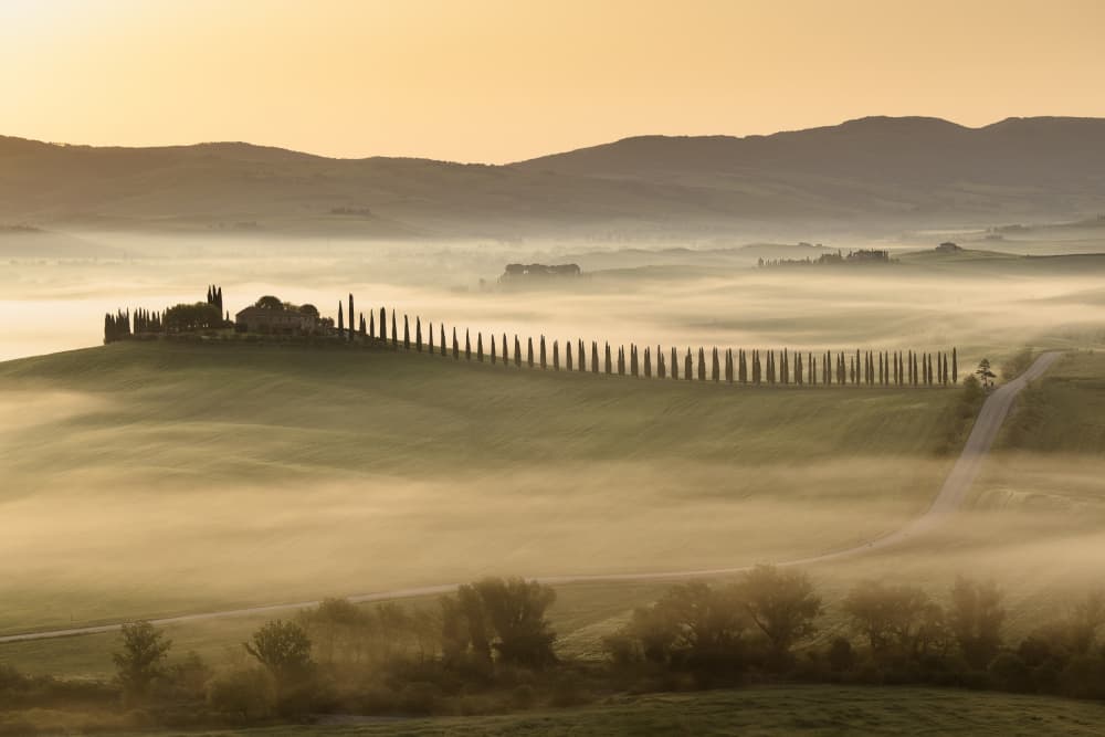 Tuscan Morning Mist by Dan Mirica — canvas wall art