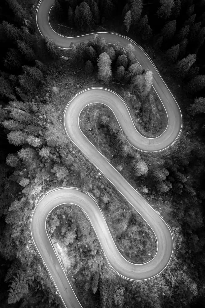 Winding Forest Curves by Christoph Schaarschmidt — canvas wall art
