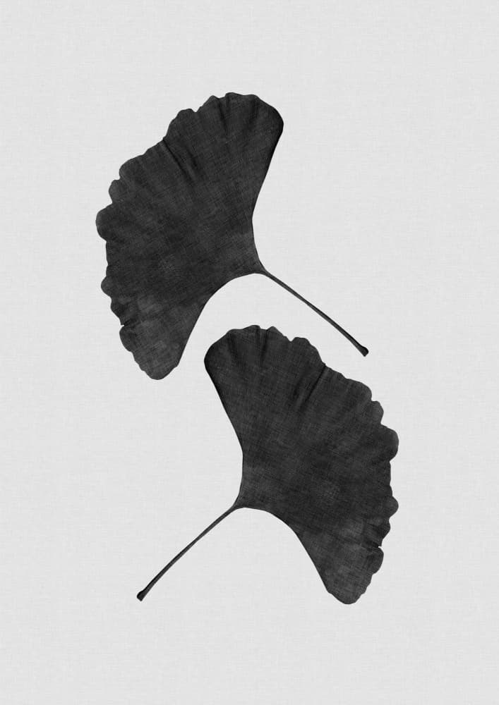 Ginkgo Leaf Duet by Orara Studio — canvas wall art