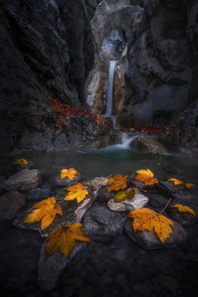 Autumn Leaves Waterfall Canyon by Nina Pauli — canvas wall art