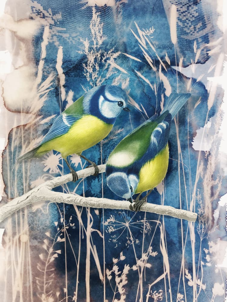 Winter Blue Tits by Marja van den Hurk — canvas wall art