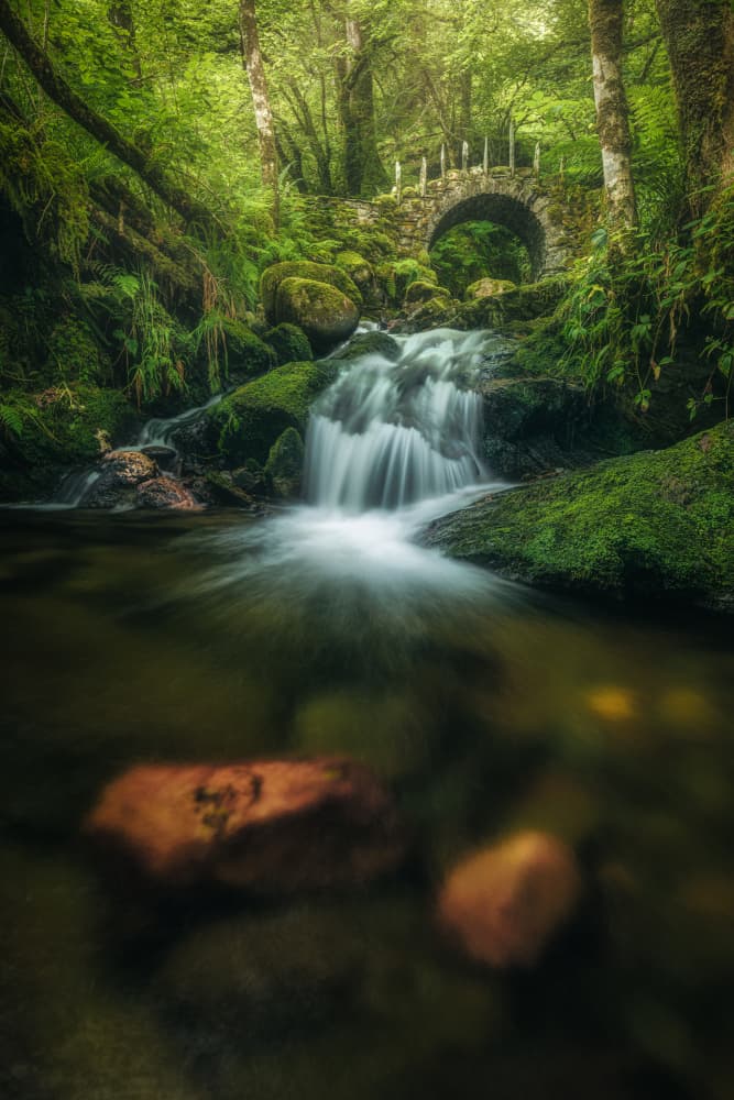 Enchanted Forest Stream Bridge by Jean Claude Castor — canvas wall art