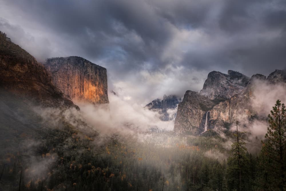 Golden Light Mountain Fog by DonnaHom APA — canvas wall art