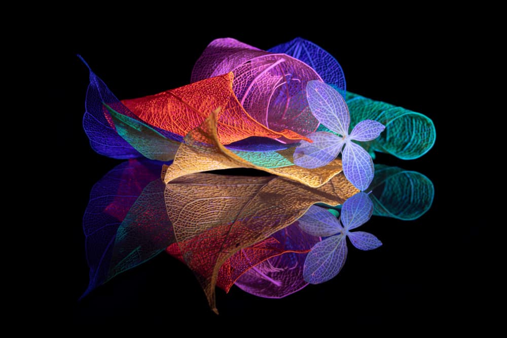 Vibrant Floral Reflections by Igor Kopcev — canvas wall art