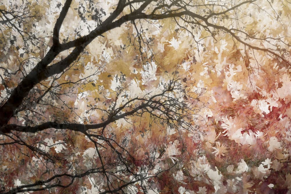 Sea of flowers by Nel Talen — canvas wall art