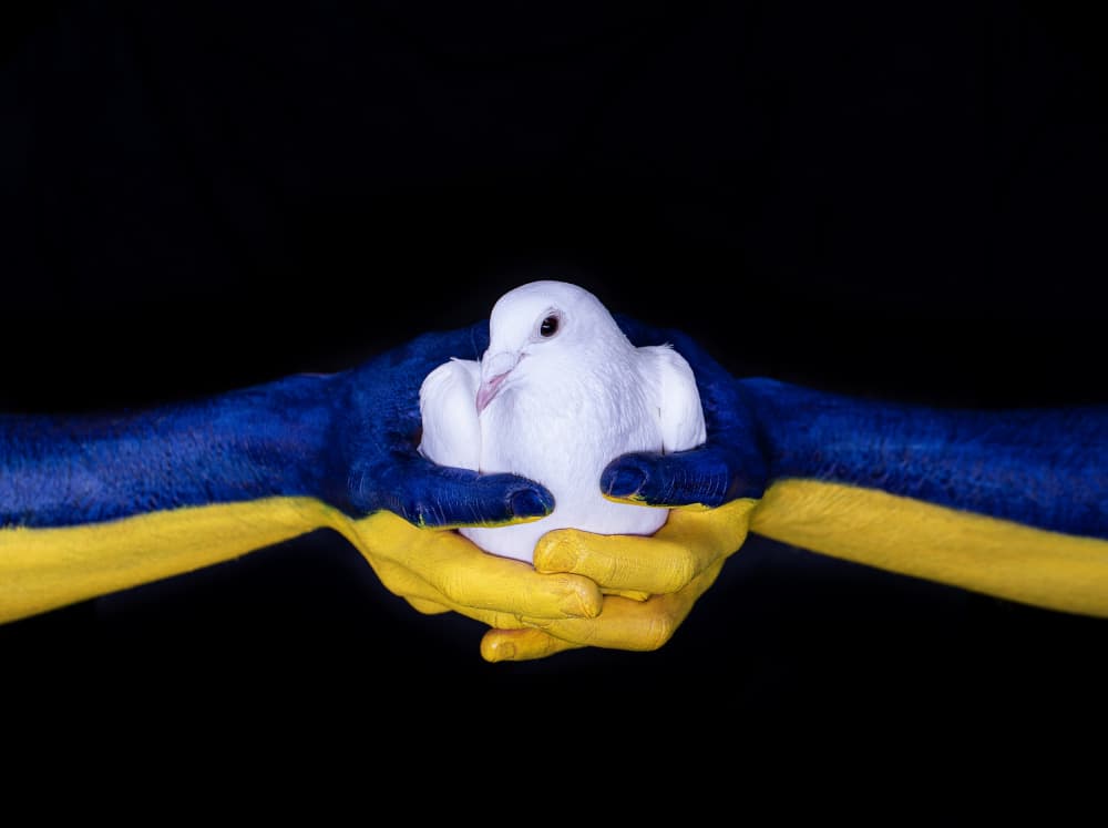 Hands Of Ukrainian Peace by Michael Allmaier — canvas wall art