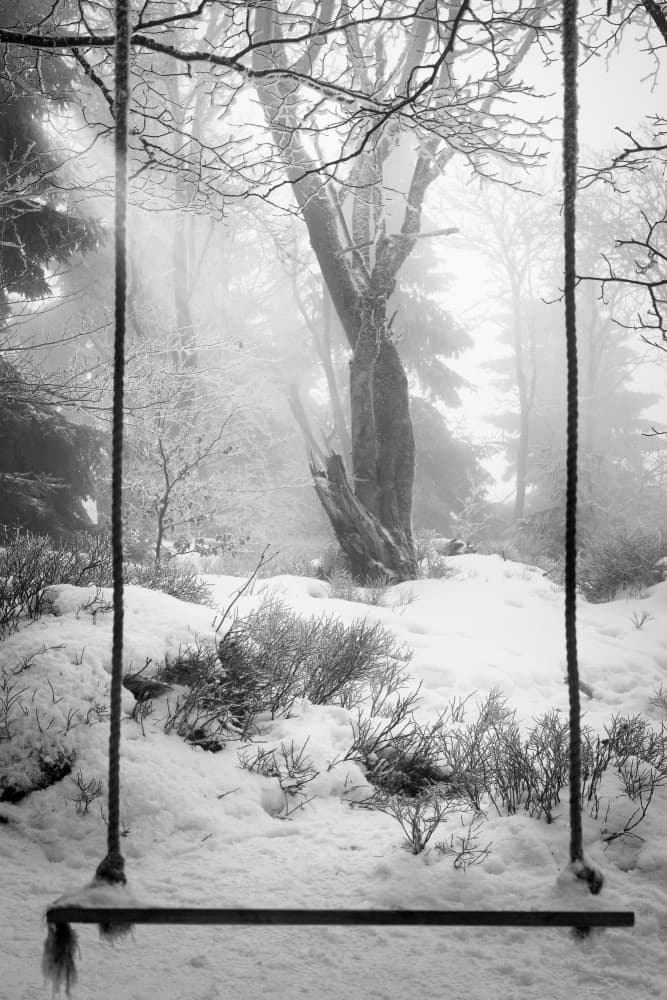 Winter Forest Swing by Pawel Kado — canvas wall art