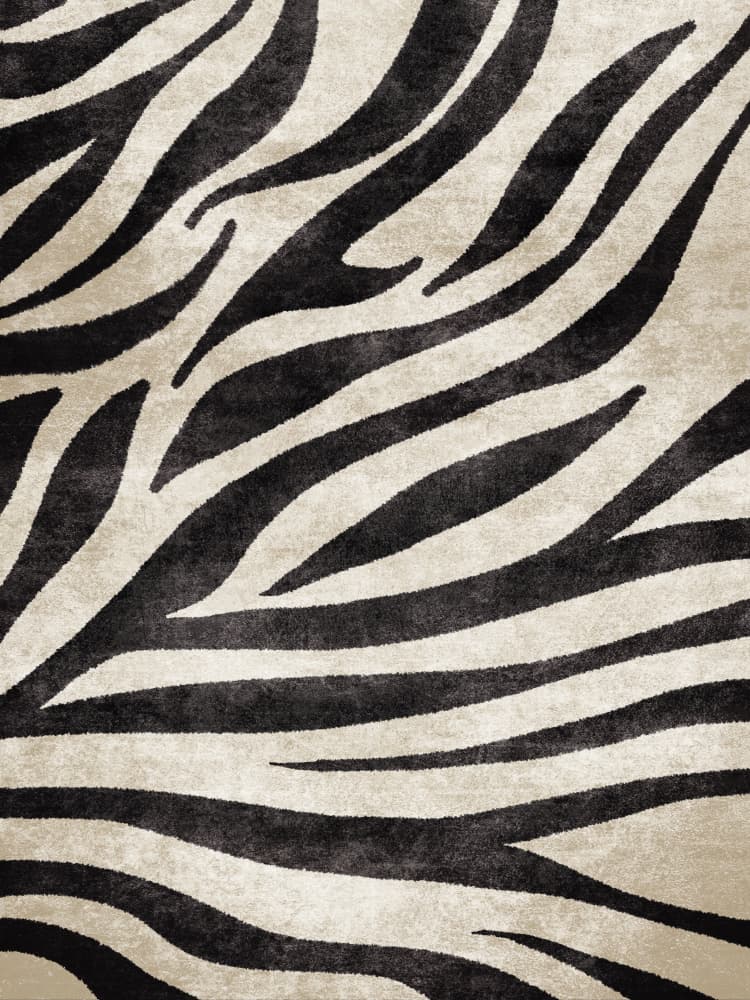 Zebra Stripes Dance by Emel Tunaboylu — canvas wall art