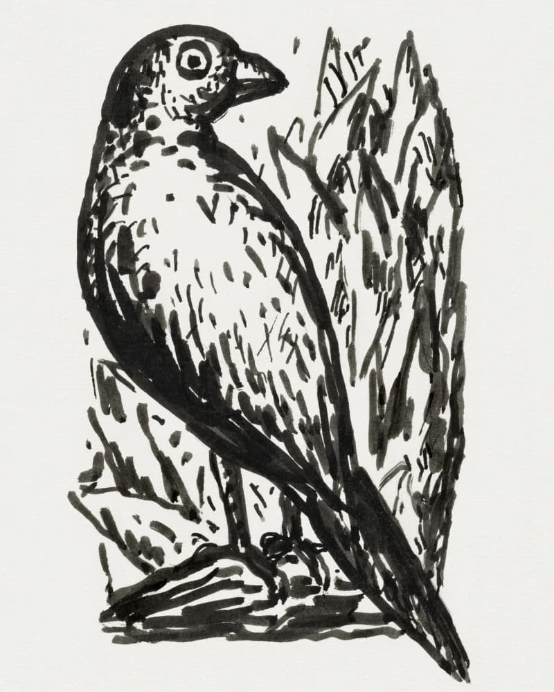 Bird (ca. 1891–1941)