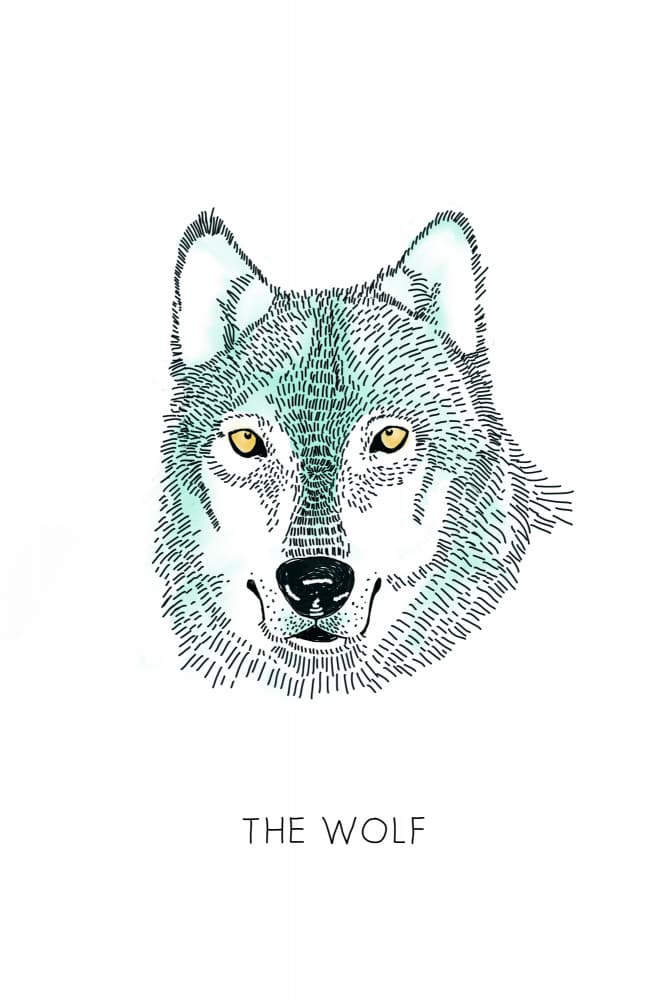 Wild Wolf Portrait by Alexandra Weise — canvas wall art