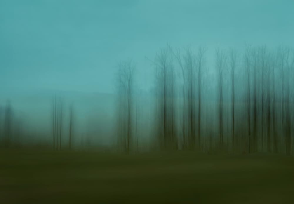 Choir by Porter Thomas — canvas wall art