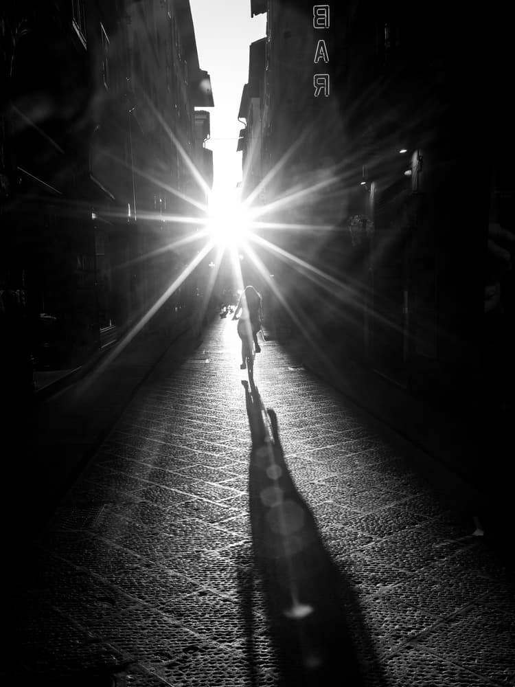 Path to Light by Stefan Miron — canvas wall art