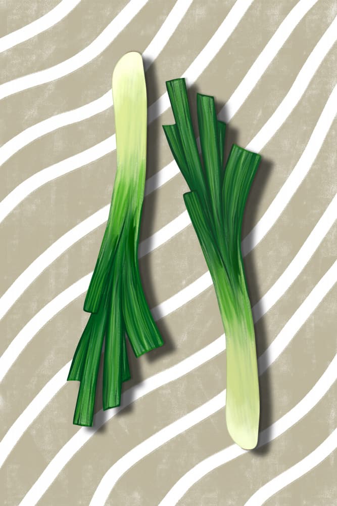 Fresh Green Scallions by EMELIEmaria — canvas wall art