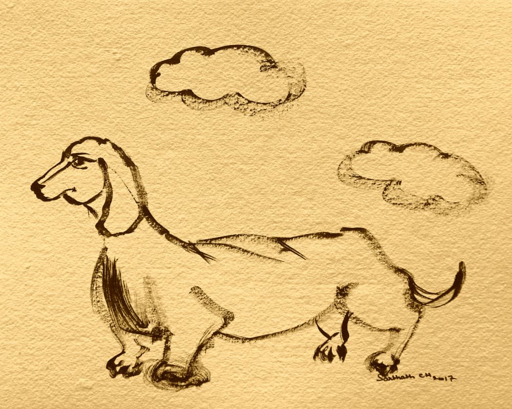 Playful Dachshund Sketch by Santhosh ch — canvas wall art