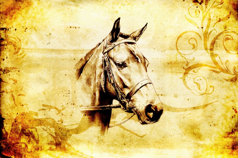Vintage Horse Portrait by Rafal Kulik — canvas wall art