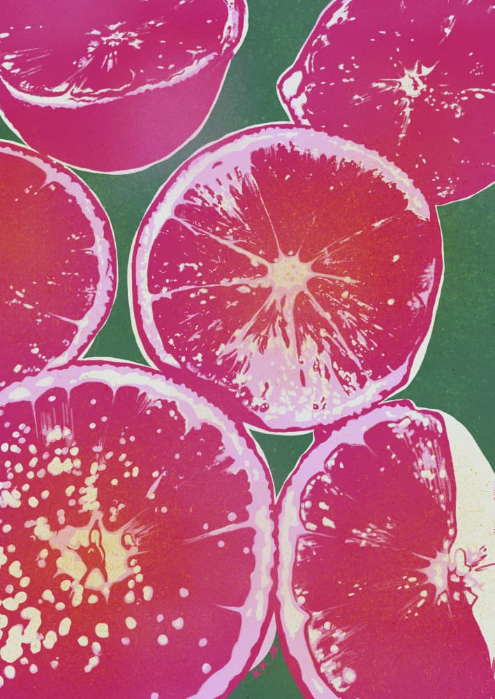 Pink Citrus Slices by Katariina Kosunen — canvas wall art