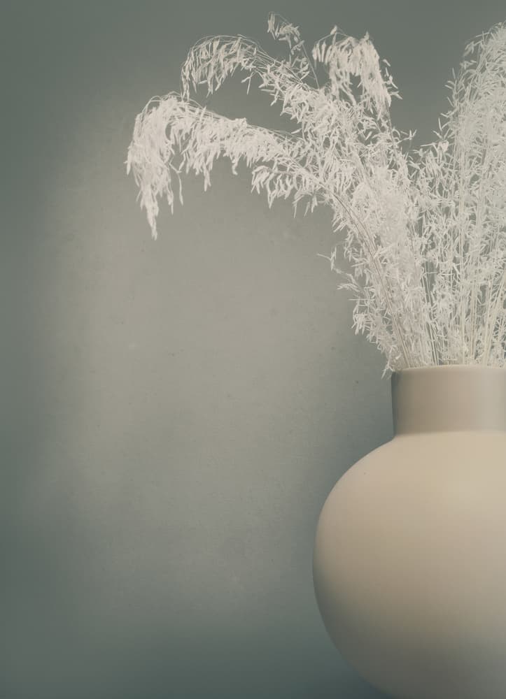 Serene Dried Botanical Vase by Heidi Westum — canvas wall art