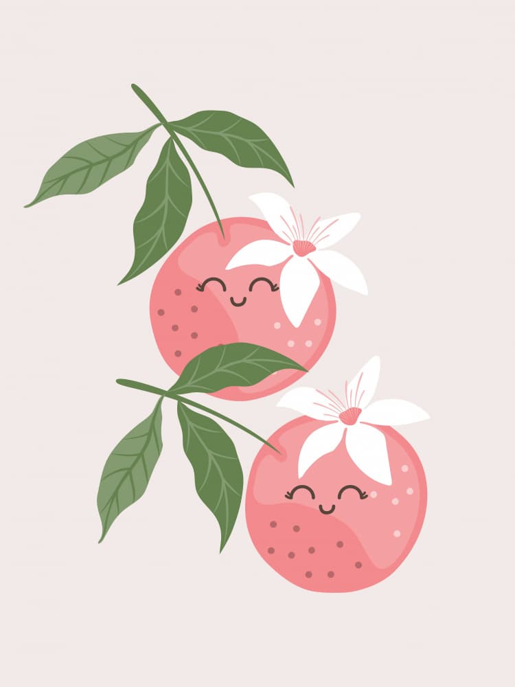 Happy Pink Fruits by Mathieu jeuf — canvas wall art